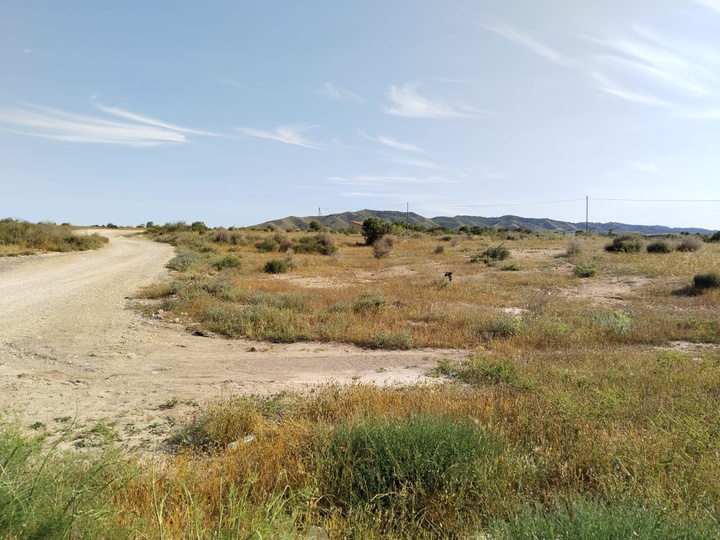 Los yacimientos corresponden a enclaves rurales datados entre los siglos I y IV d.C.