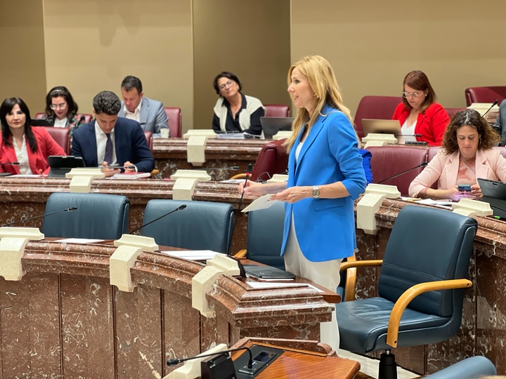 La consejera de Empresa, Empleo y Economía Social, Marisa López Aragón, durante su comparecencia en la Asamblea Regional.