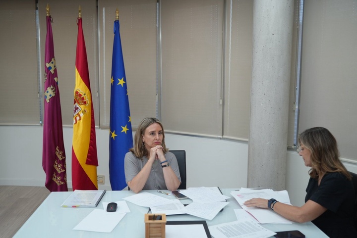 La consejera de Política Social, Familias e Igualdad, Conchita Ruiz, durante la Conferencia Sectorial de Infancia vía telemática