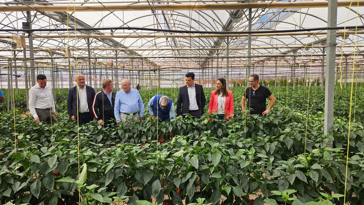 Imagen de archivo de la consejera Sara Rubira durante una visita a la plantación de pimiento ecológico de la empresa Hortamira.