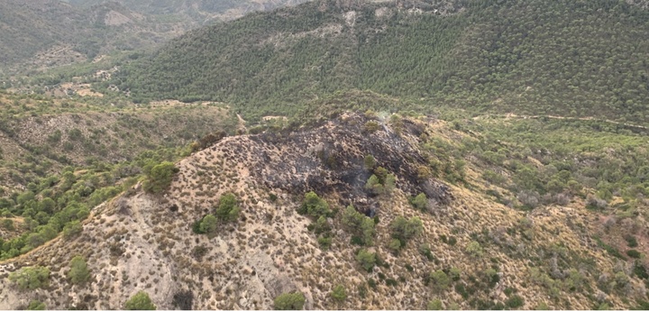 Imagen de la superficie afectada por el fuego en la Sierra del Oro, en Abarán.