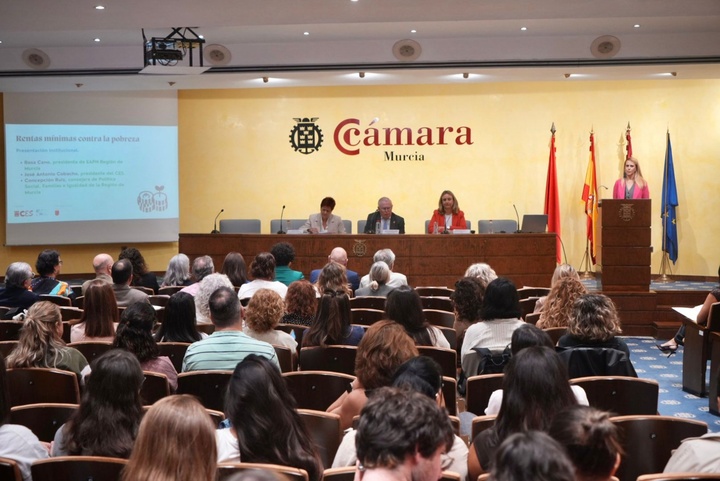 La consejera de Política Social, Familias e Igualdad, Conchita Ruiz, durante su participación en la Jornada 'Rentas mínimas contra la pobreza', organizada por la EAPN y el CES (1)