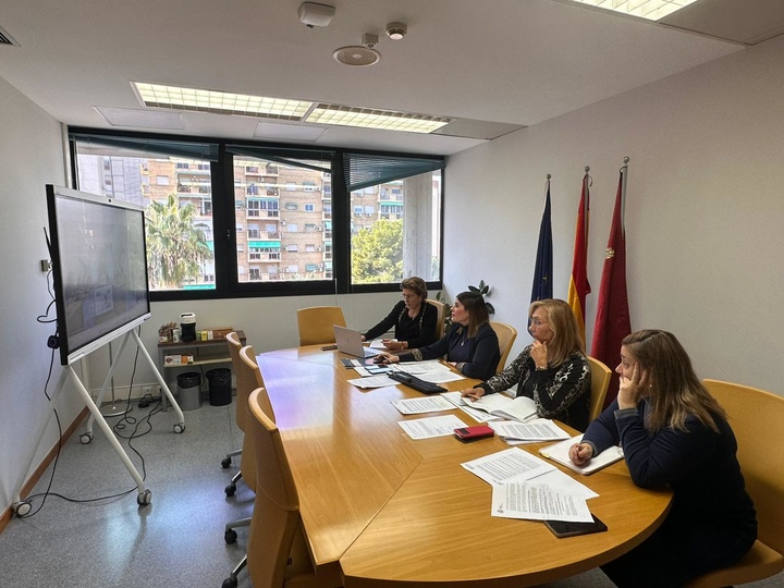 La directora general de Vivienda, María Dolores Gil, acompañada de su equipo, durante la reunión telemática de la Comisión Multilateral de Vivienda