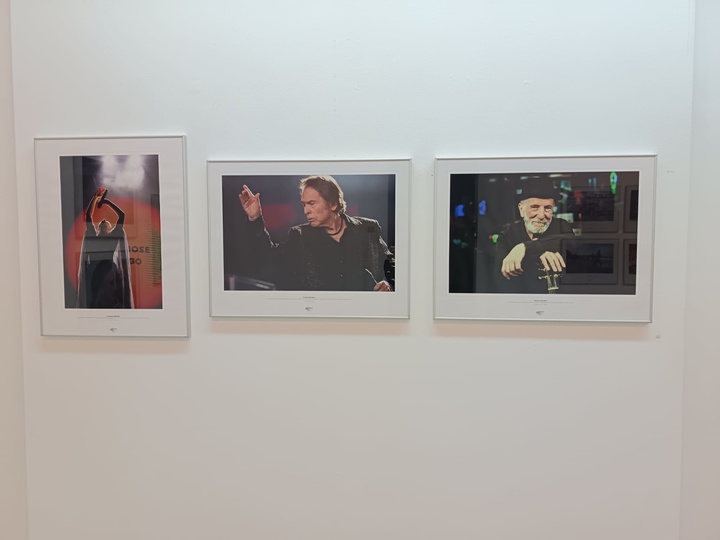 Varias imágenes de las que componen la muestra de Fotoperiodismo 2024.