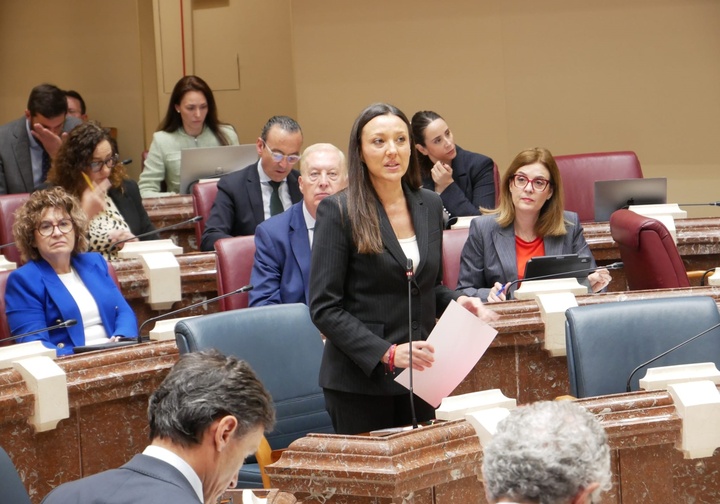 La consejera Carmen Conesa, durante su intervenci&oacute;n en la Asamblea.&nbsp;