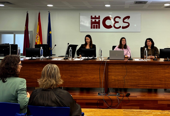 Un momento de la reuni&oacute;n del Grupo de Trabajo para la mejora de la accesibilidad de la sede electr&oacute;nica y de los servicios de atenci&oacute;n a la ciuda...