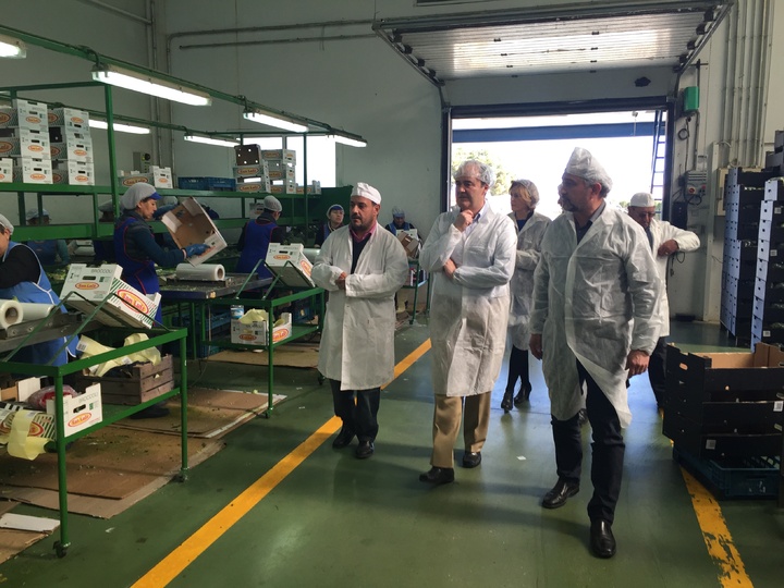 Fulgencio Pérez visita la empresa Hortalizas San Luis de Lorca